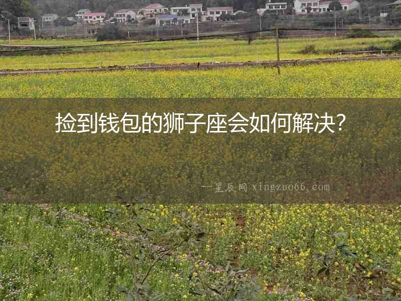 撿到錢包的獅子座會如何解決？