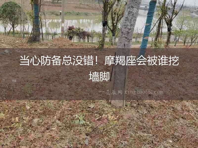 當心防備總沒錯！摩羯座會被誰挖墻腳
