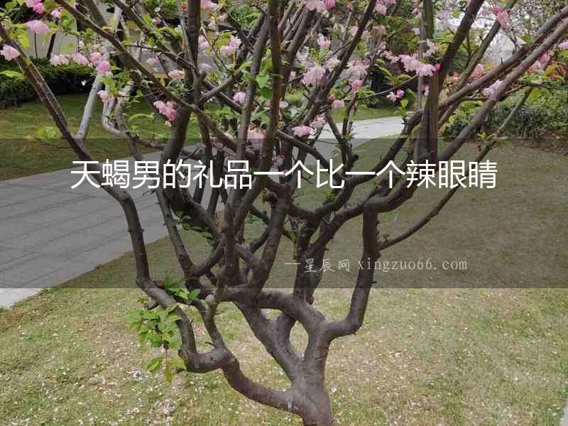 天蝎男的禮品一個比一個辣眼睛