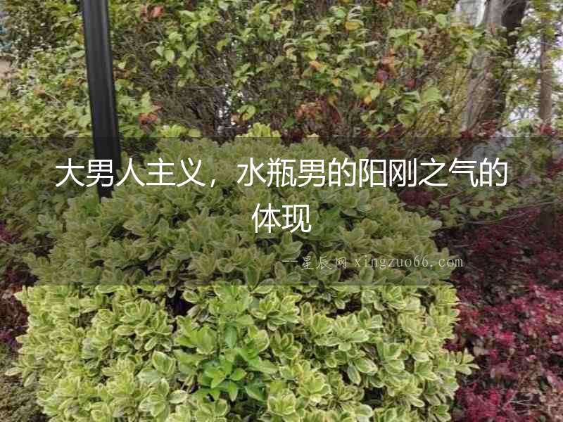 大男人主義，水瓶男的陽剛之氣的體現