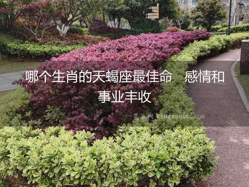 哪個生肖的天蝎座最佳命   感情和事業(yè)豐收