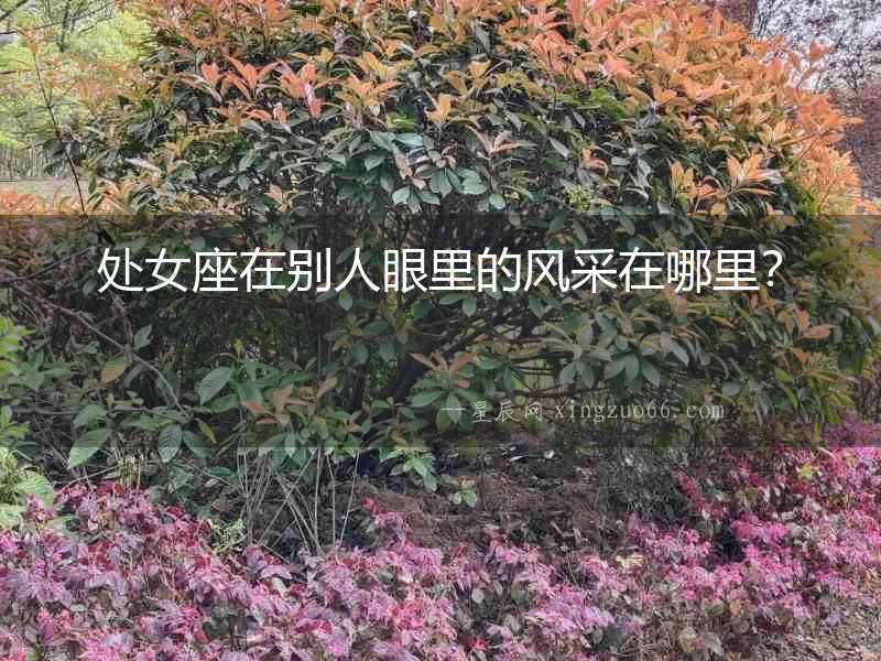 處女座在別人眼里的風采在哪里？