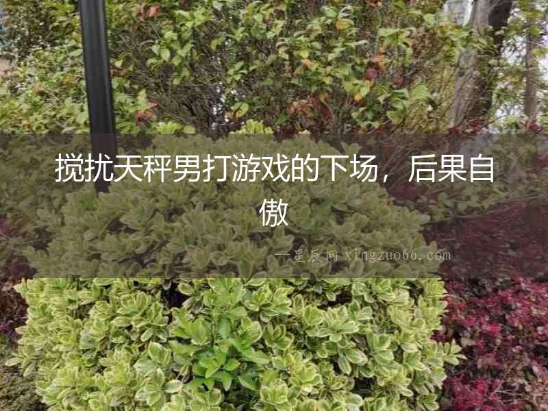 攪擾天秤男打游戲的下場，后果自傲