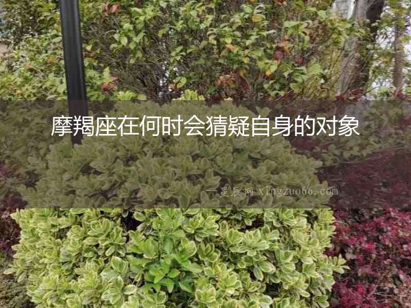 摩羯座在何時會猜疑自身的對象