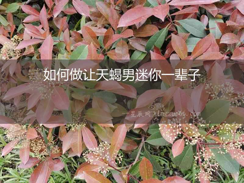 如何做讓天蝎男迷你一輩子