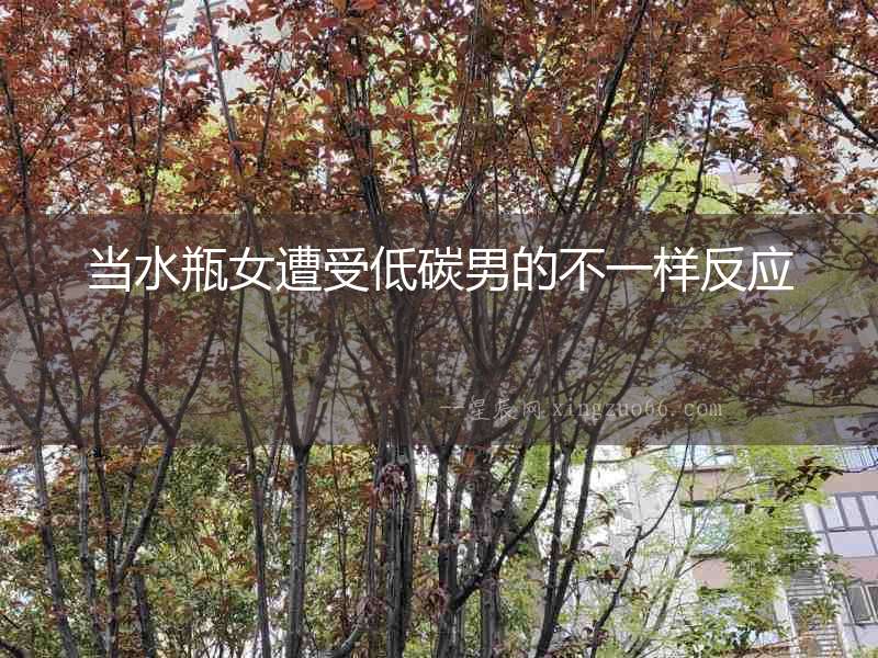 當水瓶女遭受低碳男的不一樣反應
