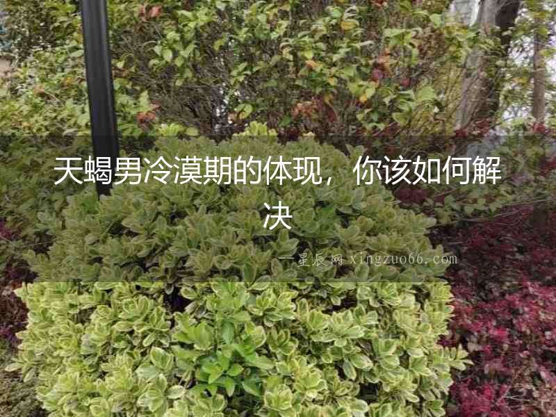 天蝎男冷漠期的體現(xiàn)，你該如何解決
