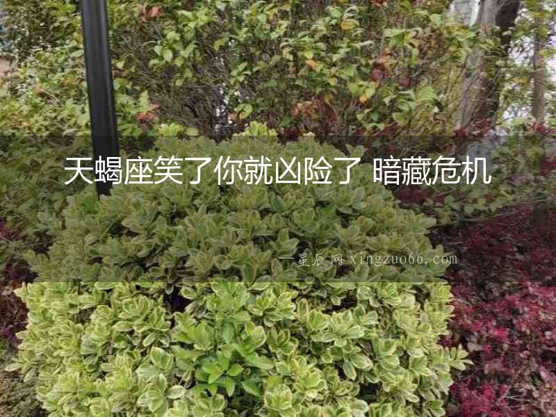 天蝎座笑了你就兇險了 暗藏危機