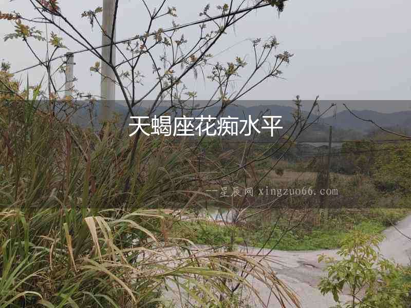 天蝎座花癡水平