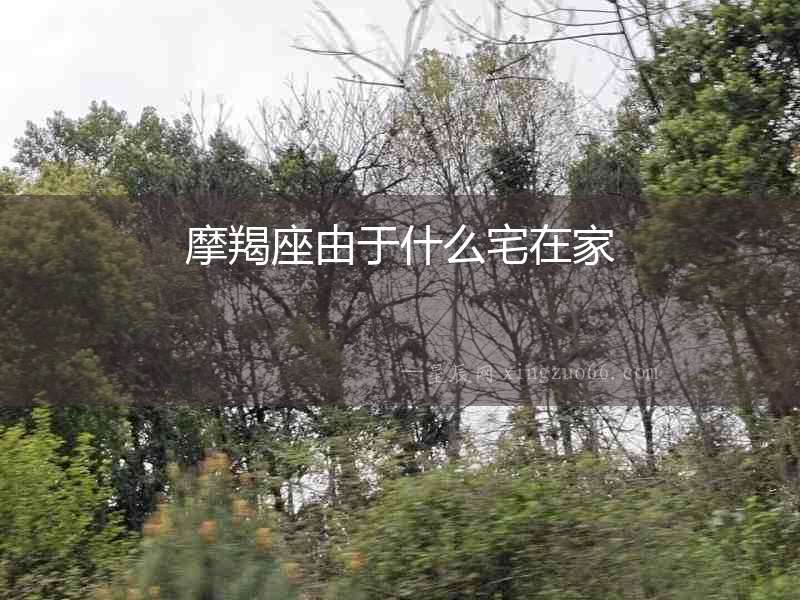 摩羯座由于什么宅在家