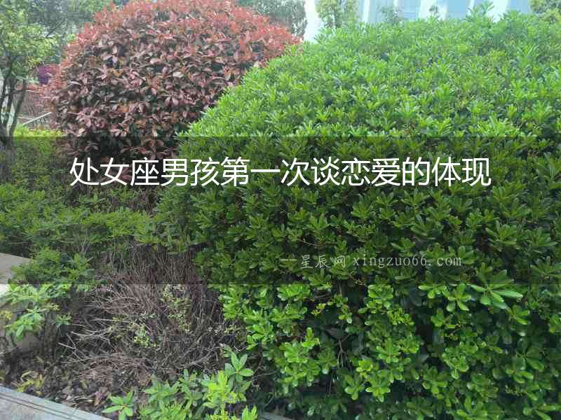 處女座男孩第一次談戀愛的體現(xiàn)