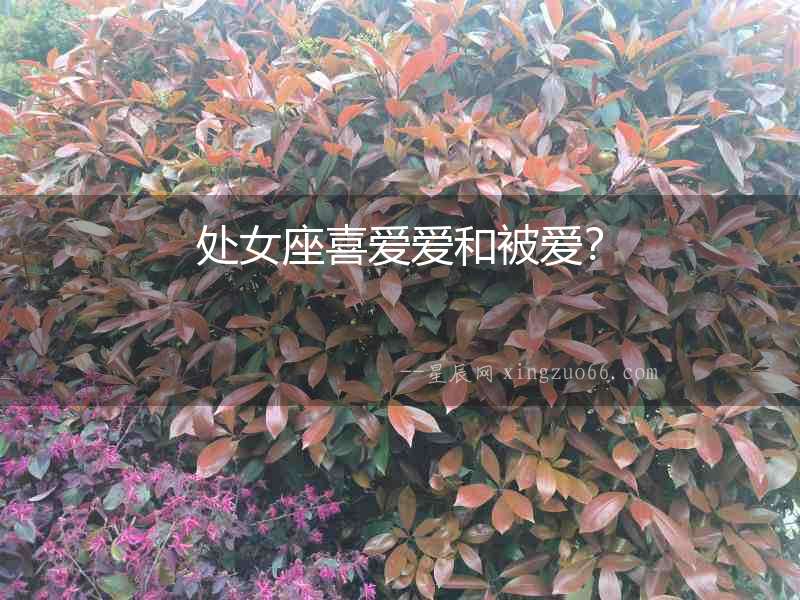 處女座喜愛愛和被愛？