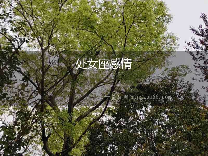處女座感情