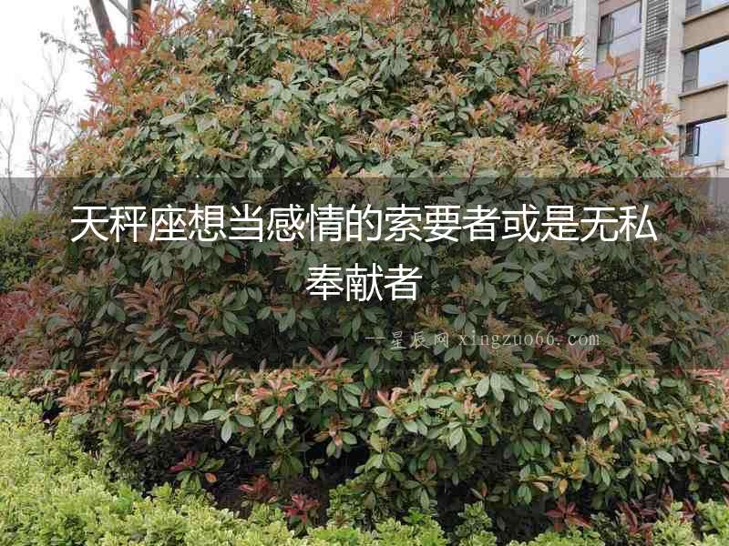 天秤座想當感情的索要者或是無私奉獻者