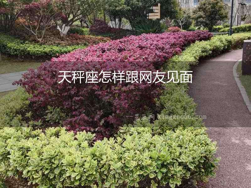 天秤座怎樣跟網友見面