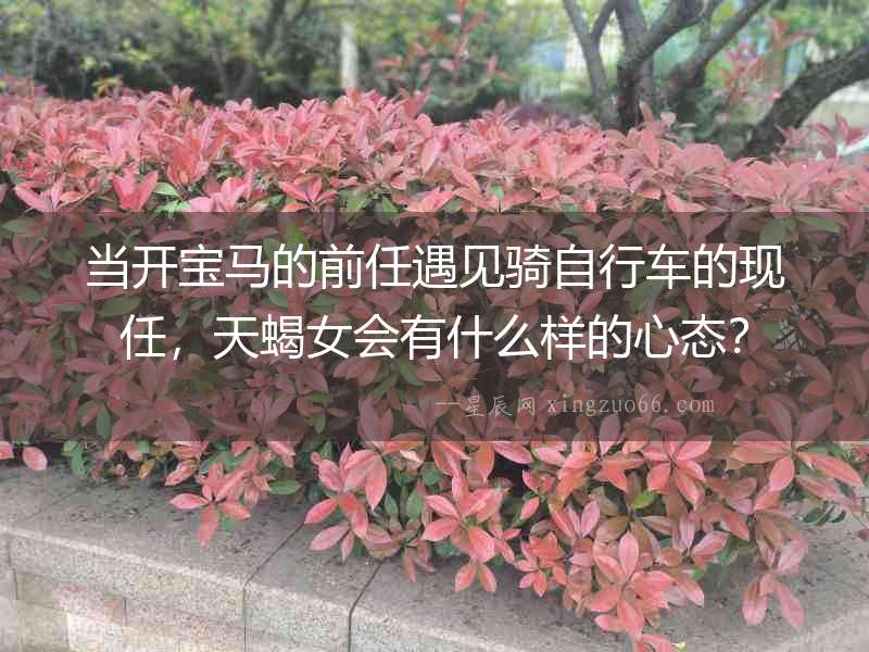當開寶馬的前任遇見騎自行車的現任，天蝎女會有什么樣的心態？