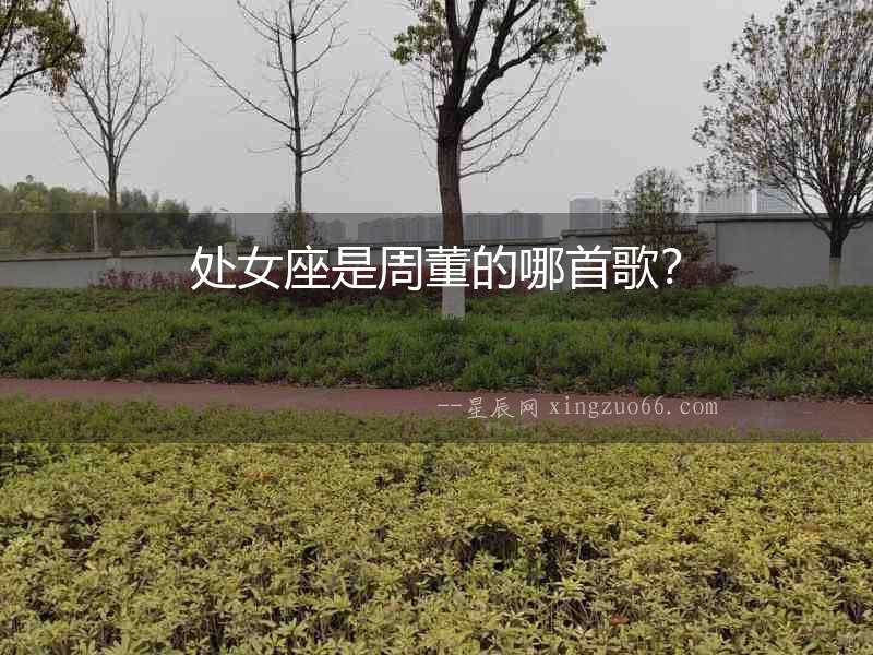 處女座是周董的哪首歌？