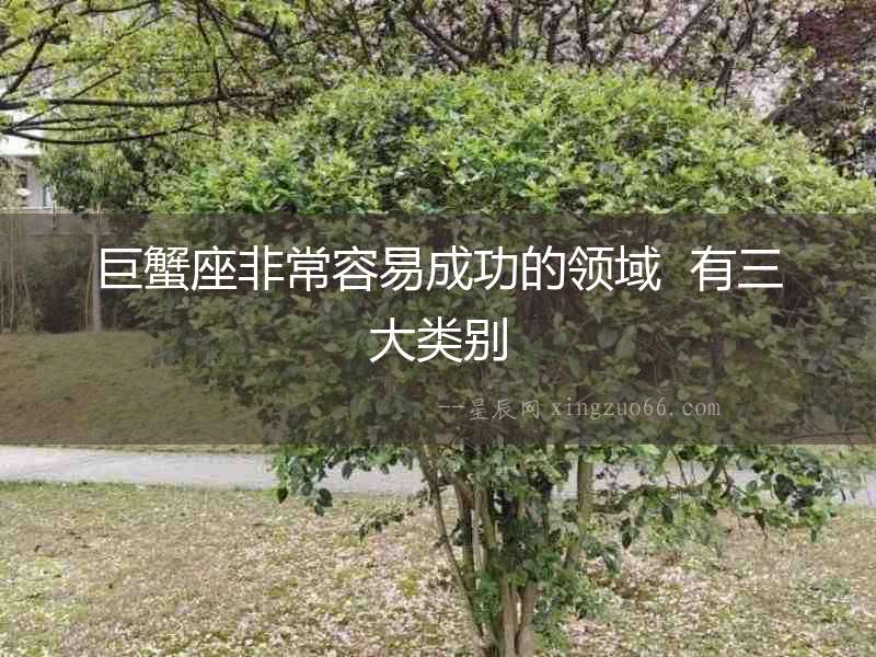 巨蟹座非常容易成功的領域  有三大類別