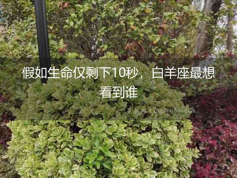 假如生命僅剩下10秒，白羊座最想看到誰