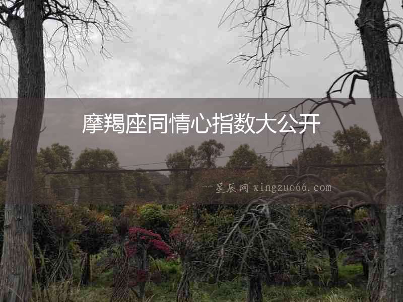 摩羯座同情心指數(shù)大公開