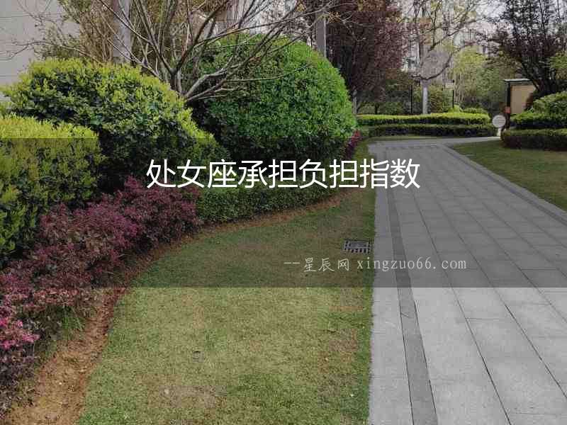 處女座承擔(dān)負(fù)擔(dān)指數(shù)