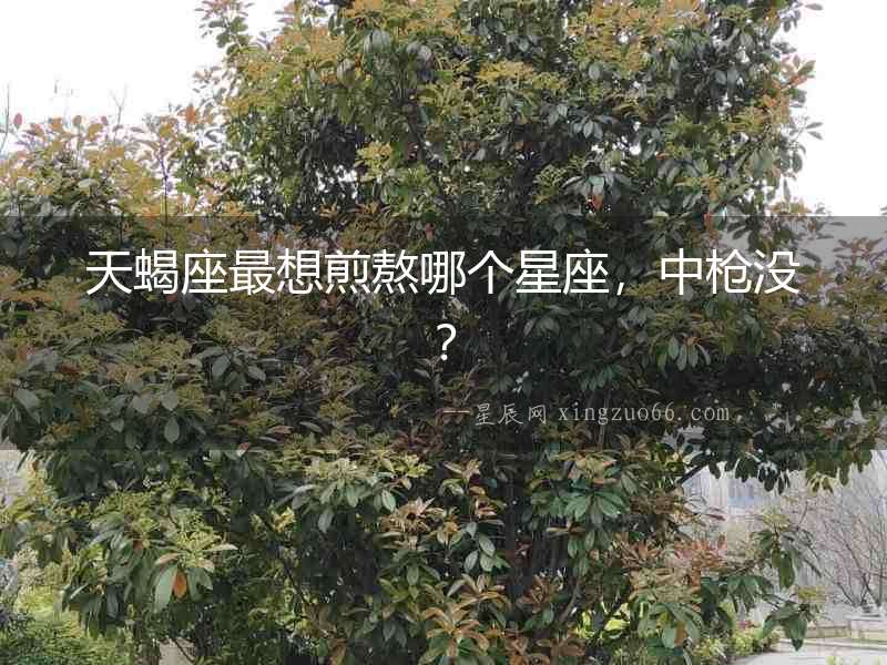 天蝎座最想煎熬哪個星座，中槍沒？
