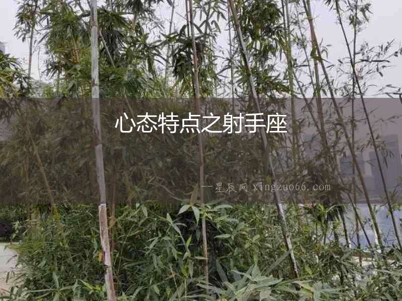 心態特點之射手座