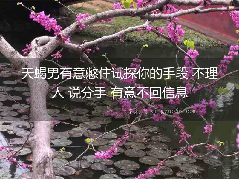 天蝎男有意憋住試探你的手段 不理人 說分手 有意不回信息