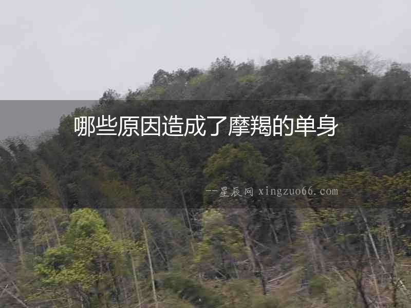 哪些原因造成了摩羯的單身