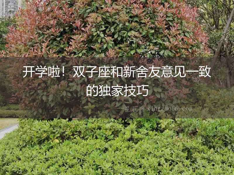 開學啦！雙子座和新舍友意見一致的獨家技巧