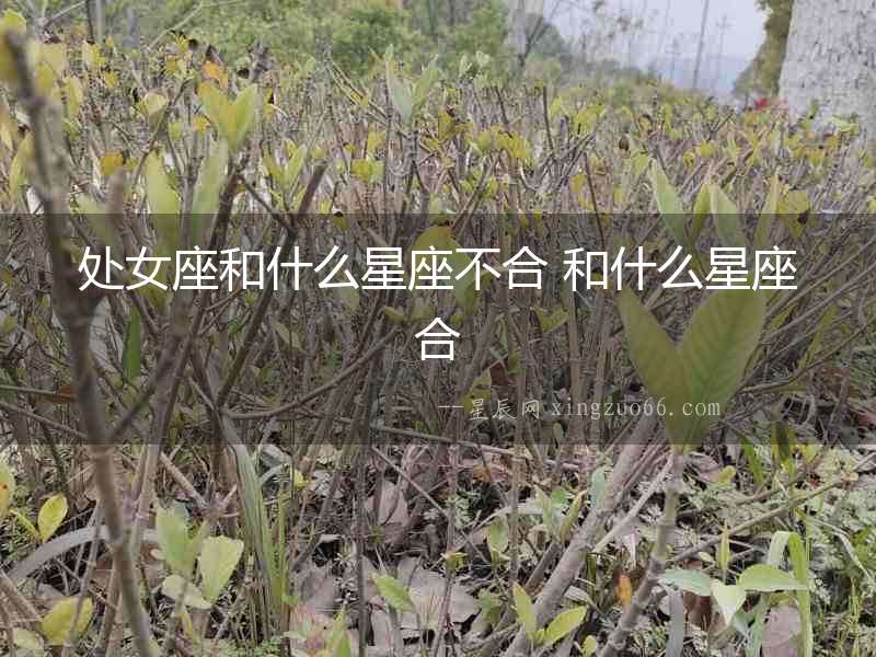 處女座和什么星座不合 和什么星座合