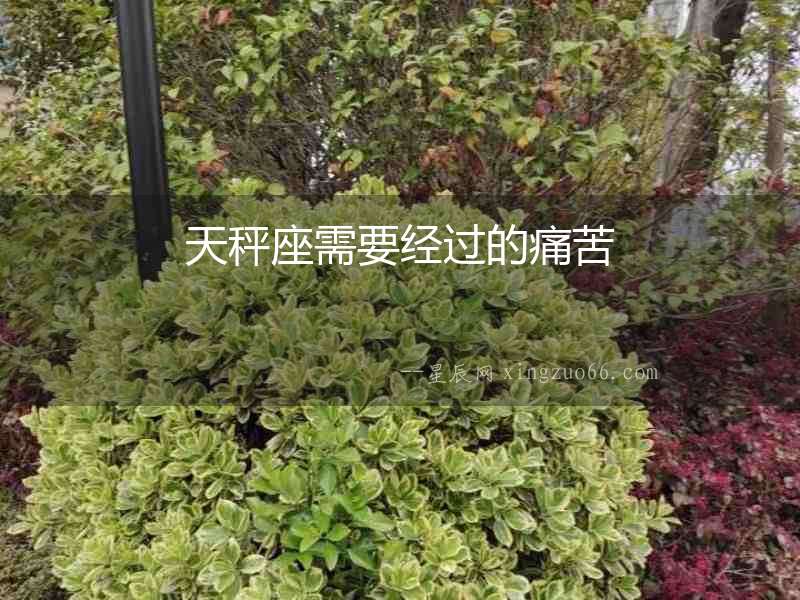 天秤座需要經過的痛苦