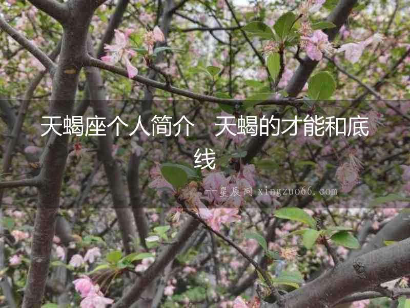 天蝎座個人簡介   天蝎的才能和底線