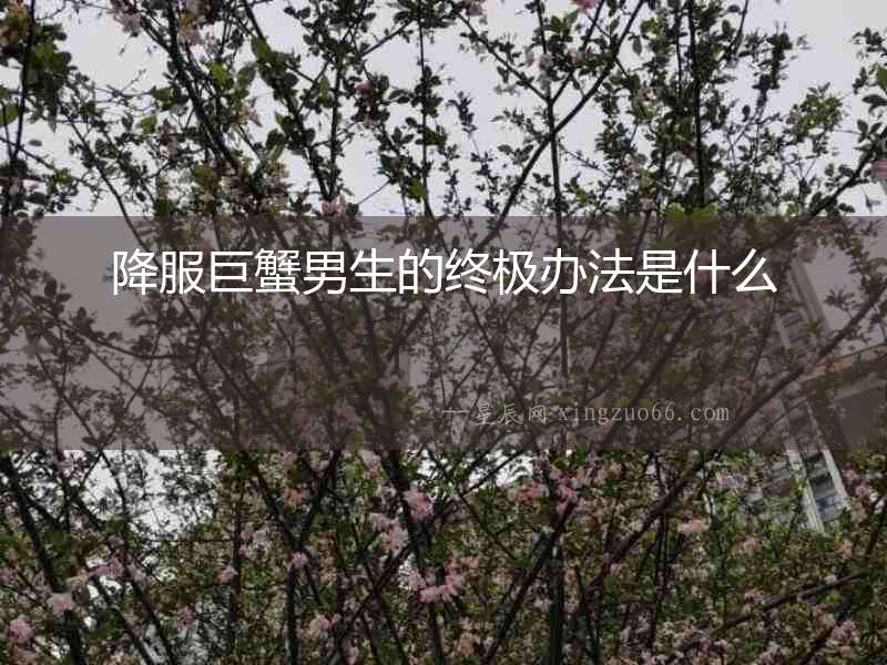 降服巨蟹男生的終極辦法是什么