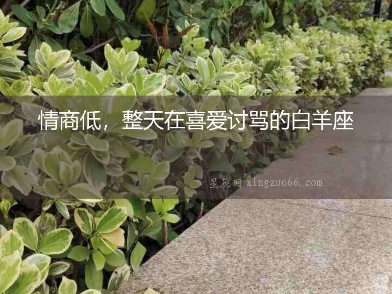 情商低，整天在喜愛討罵的白羊座