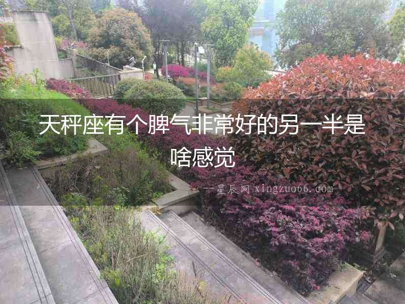 天秤座有個脾氣非常好的另一半是啥感覺