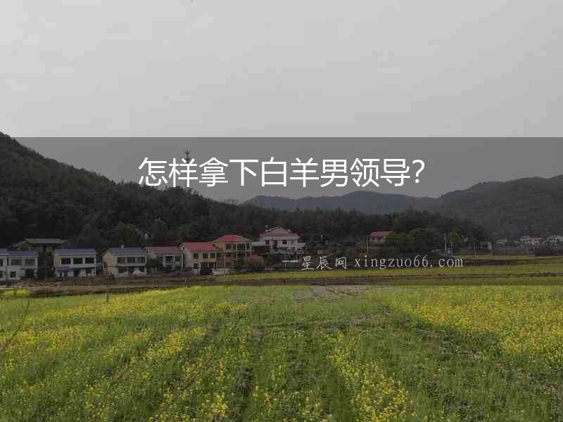 怎樣拿下白羊男領導？