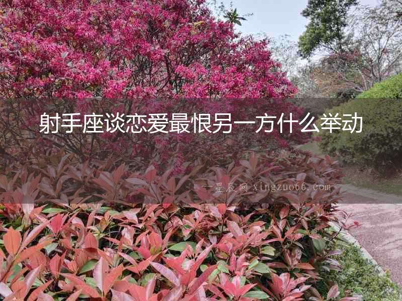射手座談戀愛最恨另一方什么舉動