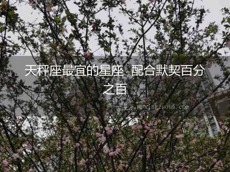 天秤座最宜的星座  配合默契百分之百