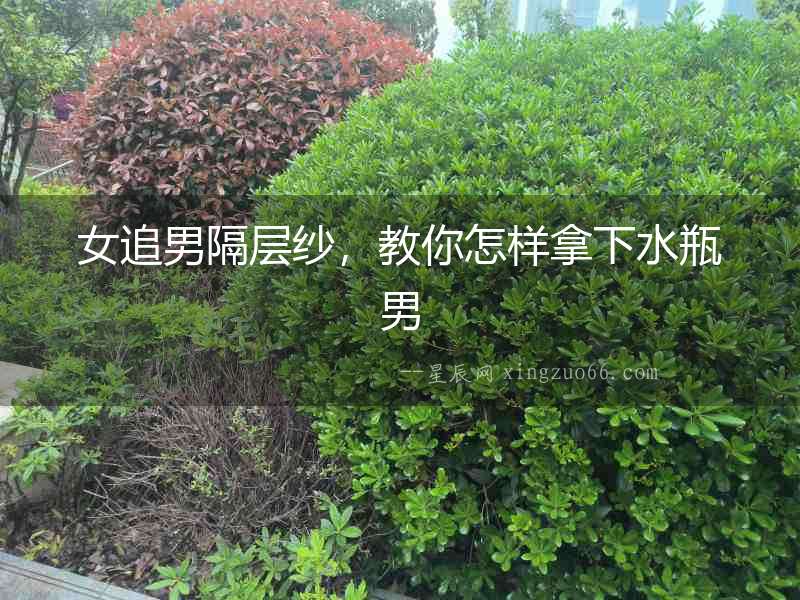 女追男隔層紗，教你怎樣拿下水瓶男