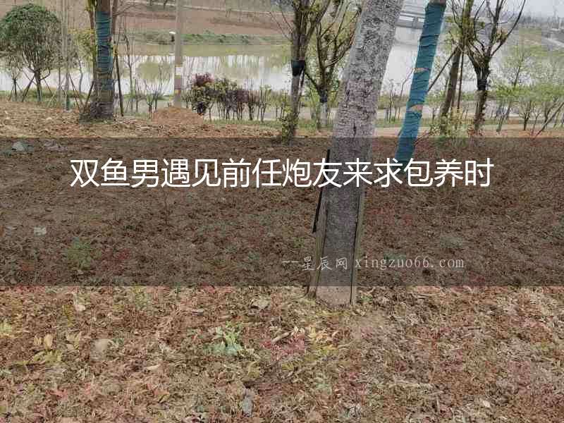 雙魚男遇見前任炮友來求包養時