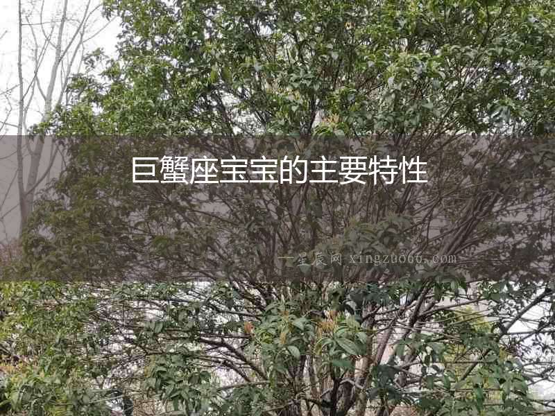 巨蟹座寶寶的主要特性