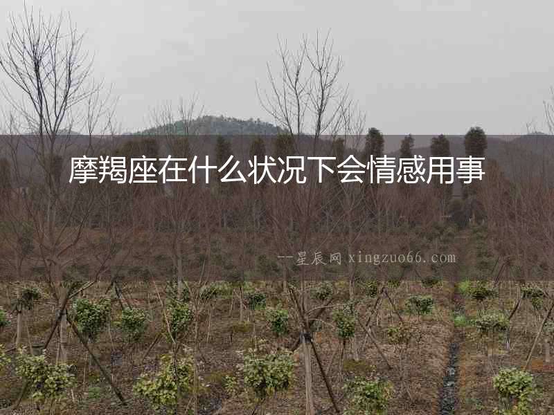 摩羯座在什么狀況下會情感用事