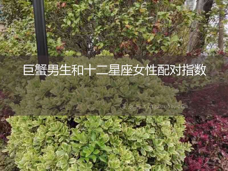 巨蟹男生和十二星座女性配對指數
