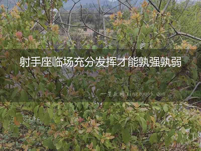 射手座臨場充分發揮才能孰強孰弱