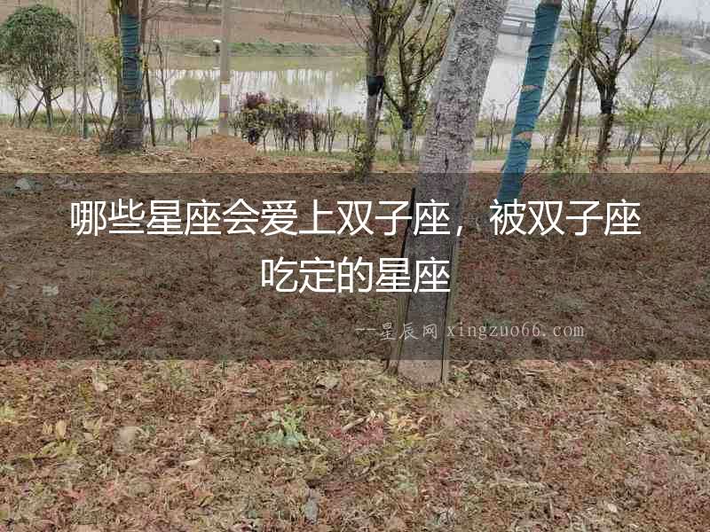 哪些星座會愛上雙子座，被雙子座吃定的星座