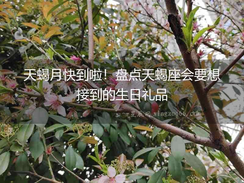 天蝎月快到啦！盤點(diǎn)天蝎座會(huì)要想接到的生日禮品