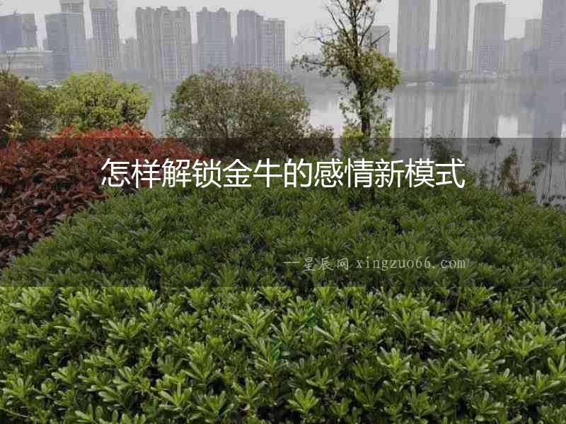 怎樣解鎖金牛的感情新模式