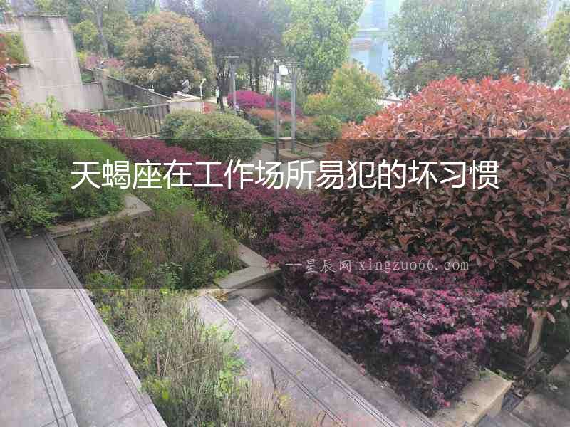 天蝎座在工作場所易犯的壞習慣