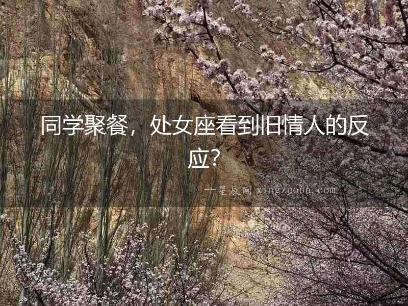 同學聚餐，處女座看到舊情人的反應？